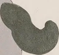 Picture 99 of 495 from Keramic studio (1899), leaf 81