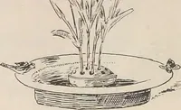 Picture 178 of 517 from Keramic studio (1899), leaf 143