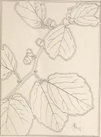 An illustration from Keramic studio (1899)