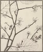 An illustration from Keramic studio (1899)