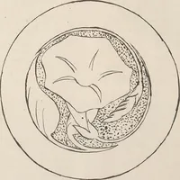 An illustration from Keramic studio (1899)