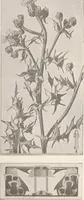 An illustration from Keramic studio (1899)