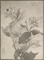 An illustration from Keramic studio (1899)