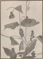 An illustration from Keramic studio (1899)