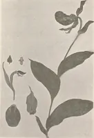 An illustration from Keramic studio (1899)