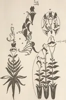 An illustration from Keramic studio (1899)
