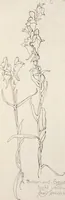 An illustration from Keramic studio (1899)