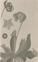 An illustration from Keramic studio (1899)