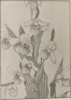 An illustration from Keramic studio (1899)