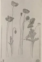 An illustration from Keramic studio (1899)