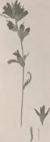 An illustration from Keramic studio (1899)