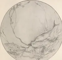 Picture 477 of 517 from Keramic studio (1899), leaf 354
