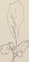 An illustration from Keramic studio (1899)