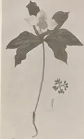 An illustration from Keramic studio (1899)