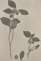 An illustration from Keramic studio (1899)
