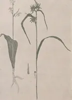 An illustration from Keramic studio (1899)