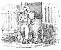 An illustration from Illustriertes Kinderspielbuch (1890)