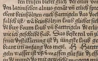 An illustration from Kleines Distillierbuch (1500)