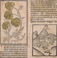 An illustration from Kleines Distillierbuch (1500)