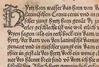 An illustration from Kleines Distillierbuch (1500)