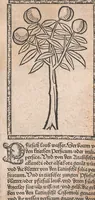 An illustration from Kleines Distillierbuch (1500)