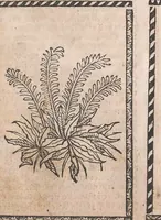 Picture 18 of 23 from Kleines Distillierbuch (1500), leaf 177