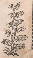 An illustration from Kleines Distillierbuch (1500)
