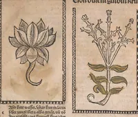 An illustration from Kleines Distillierbuch (1500)