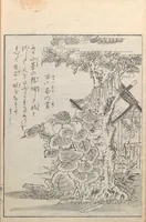 Picture 10 of 14 from Konjaku zoku hyakki (1805), leaf 18