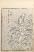 An illustration from Konjaku zoku hyakki (1805)