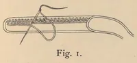 An illustration from Old point lace and how to copy and imitate it (1878)