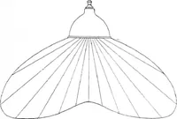 Picture 2 of 27 from Lanterns and Reflectors : Wardle System (1922), leaf 20
