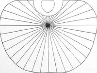 Picture 19 of 27 from Lanterns and Reflectors : Wardle System (1922), leaf 42
