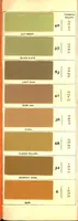 An illustration from Longman & Martinez pure paints 1902. (1902)