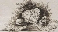 An illustration from Théorie de la fabrication des étoffes de soie (1841)