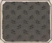 Picture 96 of 209 from Théorie de la fabrication des étoffes de soie (1841), leaf 256