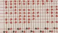 Picture 115 of 209 from Théorie de la fabrication des étoffes de soie (1841), leaf 284