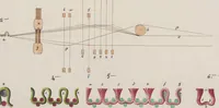 An illustration from Théorie de la fabrication des étoffes de soie (1841)