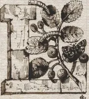 Picture 1 of 209 from Théorie de la fabrication des étoffes de soie (1841), leaf 8