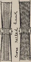 Picture 197 of 199 from First year weaving (1890), leaf 140