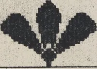 Picture 127 of 199 from First year weaving (1890), leaf 76