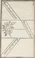 An illustration from Le dessinateur, pour les fabriques, d'étoffes, d'or, d'argent et de soie : avec la traduction de six tables raisonnées, tirées de l'Abecedario pittorico, imprimé à Naples en 1733 (1765)