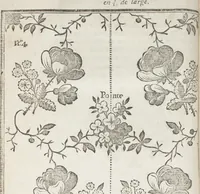 An illustration from Le dessinateur, pour les fabriques, d'étoffes, d'or, d'argent et de soie : avec la traduction de six tables raisonnées, tirées de l'Abecedario pittorico, imprimé à Naples en 1733 (1765)