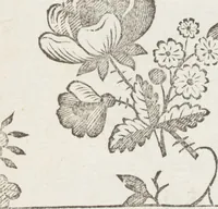 An illustration from Le dessinateur, pour les fabriques, d'étoffes, d'or, d'argent et de soie : avec la traduction de six tables raisonnées, tirées de l'Abecedario pittorico, imprimé à Naples en 1733 (1765)