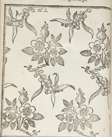 An illustration from Le dessinateur, pour les fabriques, d'étoffes, d'or, d'argent et de soie : avec la traduction de six tables raisonnées, tirées de l'Abecedario pittorico, imprimé à Naples en 1733 (1765)