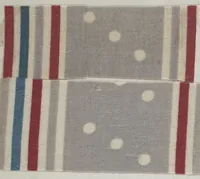 An illustration from [Dyer's note book] (1890)