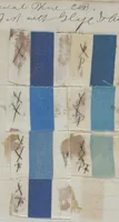Picture 2 of 4 from [Dyer's note book] (1890), leaf 30