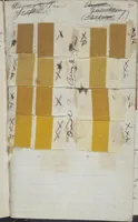 An illustration from [Dyer's note book] (1890)