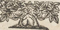 Picture 53 of 54 from Neu hervorkommendes Weber Kunst und Bild Buch (1709), leaf 139