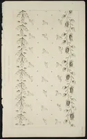 Picture 4 of 6 from Muslin patterns (1816), leaf 6